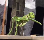 Shakespeares Sommernachtstraum - Theater die exen