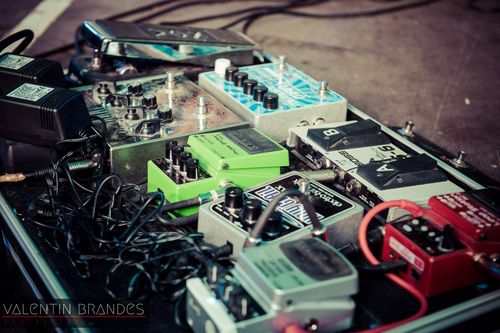 Rosa Laub 2017 | Foto: Valentin Brandes Rosa Laub 2017 | Foto: Valentin Brandes